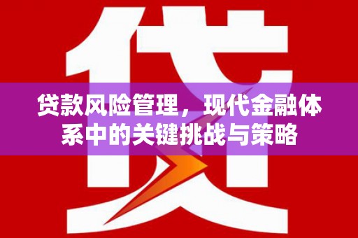 涧西贷款风险管理，现代金融体系中的关键挑战与策略