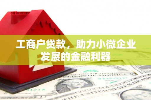 涧西工商户贷款，助力小微企业发展的金融利器