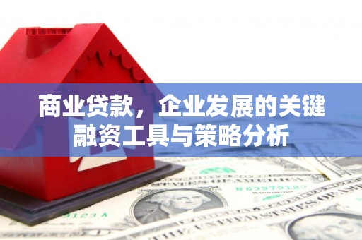 涧西商业贷款，企业发展的关键融资工具与策略分析