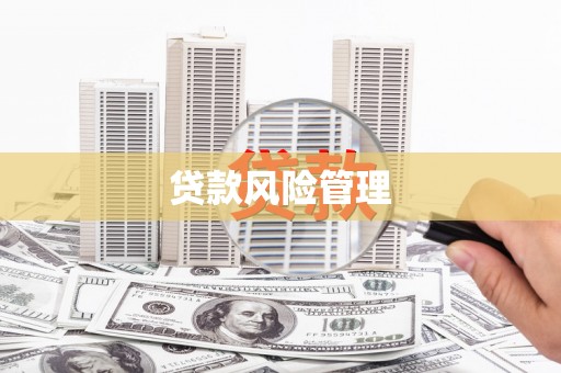 涧西贷款风险管理