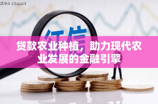 涧西贷款农业种植，助力现代农业发展的金融引擎