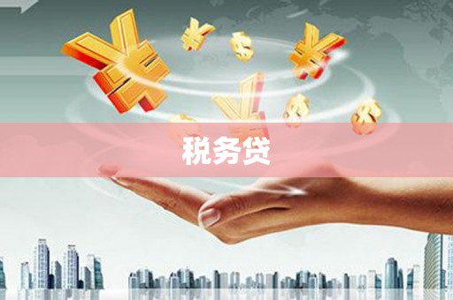 涧西税务贷