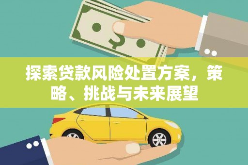 涧西探索贷款风险处置方案，策略、挑战与未来展望
