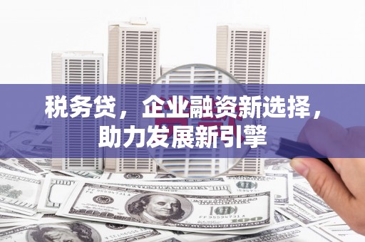 涧西税务贷，企业融资新选择，助力发展新引擎