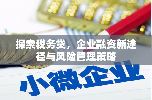 涧西探索税务贷，企业融资新途径与风险管理策略