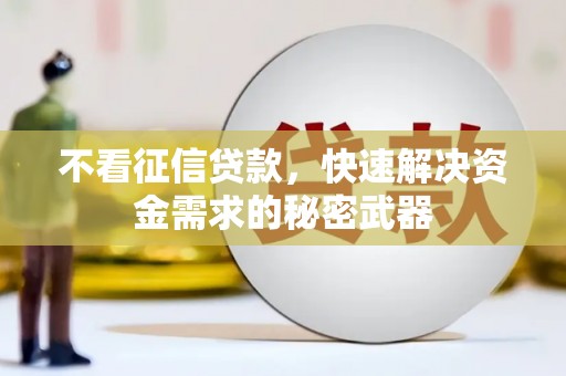 涧西不看征信贷款，快速解决资金需求的秘密武器