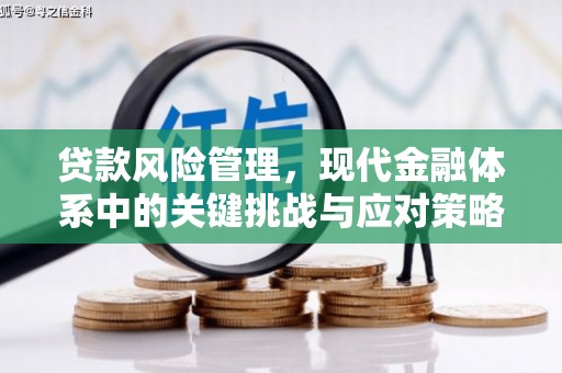 涧西贷款风险管理，现代金融体系中的关键挑战与应对策略