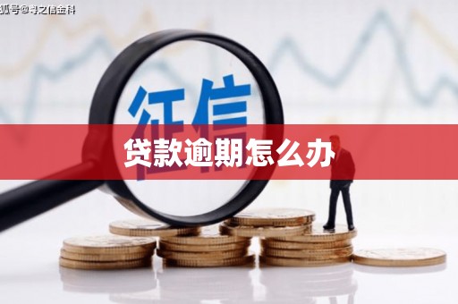 涧西贷款逾期怎么办