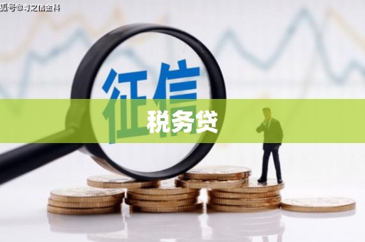 涧西税务贷