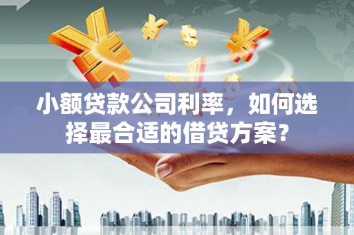 涧西小额贷款公司利率，如何选择最合适的借贷方案？