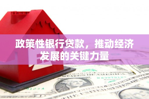 涧西政策性银行贷款，推动经济发展的关键力量