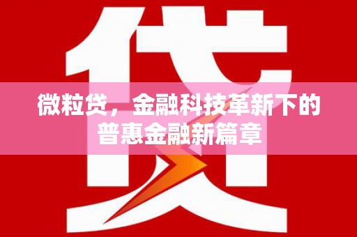 涧西微粒贷，金融科技革新下的普惠金融新篇章