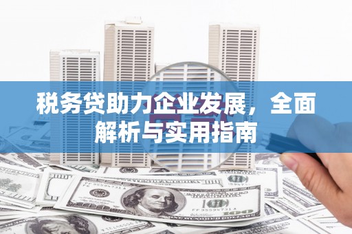 涧西税务贷助力企业发展，全面解析与实用指南