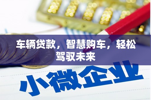 涧西车辆贷款，智慧购车，轻松驾驭未来