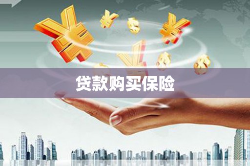 涧西贷款购买保险