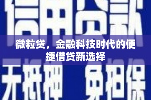涧西微粒贷，金融科技时代的便捷借贷新选择