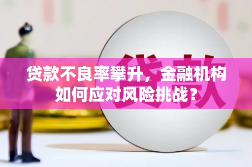 涧西贷款不良率攀升，金融机构如何应对风险挑战？