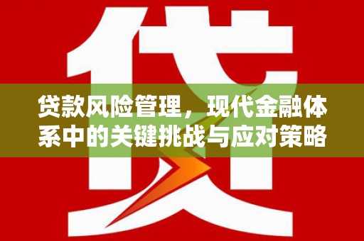 涧西贷款风险管理，现代金融体系中的关键挑战与应对策略
