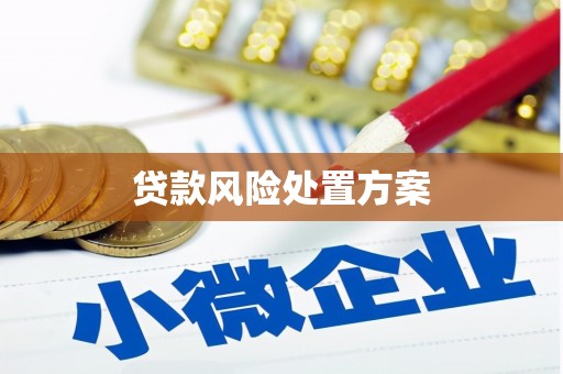 涧西贷款风险处置方案
