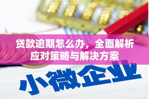 涧西贷款逾期怎么办，全面解析应对策略与解决方案