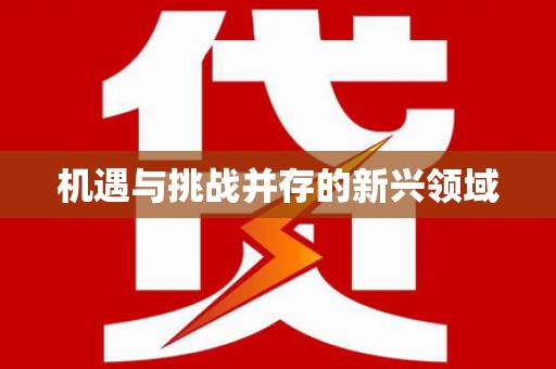 涧西机遇与挑战并存的新兴领域